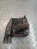 Ladeluftkühler NISSAN PRIMERA (P12) 2.2 dCi