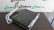 A/C Matrix Heater VOLVO V60 2.0 D3 L5174007 7041217