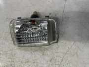 Blinker am Türspiegel vorn rechts