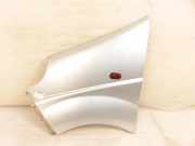 Kotflügel vorne links