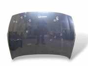 Motorhaube Volvo S60 II (134)