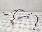 Kabel Tür Seat Exeo (3R) 3R0971035R