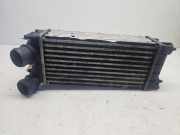 Ladeluftkühler PEUGEOT 3008 2.0 HDi 9684212480