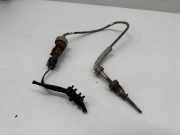 Abgastemperatursensor CUPRA ATECA (KH7, KH7, KBP) 2.0 TSI 4Drive 06K919529D