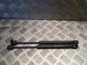 Gasfeder für Motorhaube Chrysler 300 C (LX, LE) 5065278AD