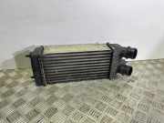 Ladeluftkühler FIAT SCUDO Furgon (270_, 272_) 2.0 D Multijet 1498987080