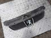 Vorderer oberer Gitter PEUGEOT 406 Coupe (8C) 2.0 16V 9631250277