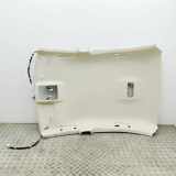 Dachverkleidung LEXUS GS (_L1_) 300h (AWL10_, GRL11_) 63311-30F50