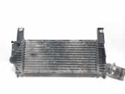 Ladeluftkühler NISSAN NP300 NAVARA (D40) 2.5 dCi 4WD 14461EB360