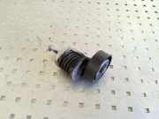 Riemenspanner VW POLO (9N_) 1.9 TDI 038903315AH