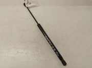 Heckklappe Gasdruckfeder rechts VW GOLF PLUS (5M1, 521) 1.9 TDI 0208900550N