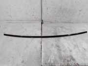 Dachleiste links PEUGEOT 407 Coupe (6C_) 2.7 HDi