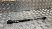 Heckklappe Gasdruckfeder links BMW 1 (F21) 118 i