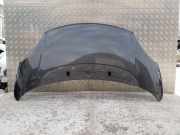 Motorhaube FIAT 500L (351_, 352_) 1.3 D Multijet