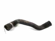 Kühlerschlauch Mercedes-Benz S-Klasse (W220) A2205010482