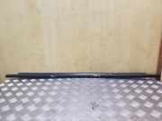 Türfensterleiste hinten links OPEL ASTRA H Furgon (L70) 1.9 CDTI 16V 024468037
