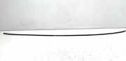 Dachleiste links SKODA SUPERB II (3T4) 2.0 TDI