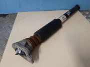 Stoßdämpfer hinten links BMW 1 (F40) F40) 116 d 6896988