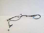 Kabel der vorderen linken Tür MERCEDES-BENZ GLC (X253, C253) 250 4-matic (253.946) A2545400320