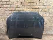 Motorhaube Volvo V70 III (135)