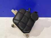 AUSGLEICHSBEHÄLTER KÜHLWASSER MERCEDES-BENZ GL (X166) GL 63 AMG 4-matic (166.874) 1665000049