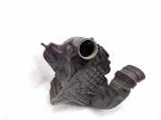 Luftfilterkasten RENAULT MEGANE IV (B9A/M_) 1.5 dCi 110 (B9A3) 165007121R