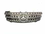 Vorderer oberer Gitter MERCEDES-BENZ M (W164) ML 350 4-matic (164.186) A1648800085