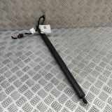 Heckklappe Gasdruckfeder rechts ALFA ROMEO STELVIO (949_) 2.0 Q4 505603960