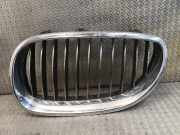 Gitter BMW 5 (E60) 520 d 7027061