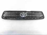 Ziergitter Toyota RAV 4 II (A2)