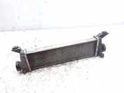 Ladeluftkühler MERCEDES-BENZ A (W168) A 170 CDI (168.008) A1685000000