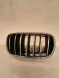 Vorderer oberer Gitter BMW X6 (F16, F86) xDrive 30 d 7316057