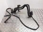 Schlauch Kühlung FORD C-MAX II (DXA/CB7, DXA/CEU) 1.6 TDCi