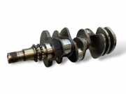 Kurbelwelle LAND ROVER RANGE ROVER SPORT (L320) 3.6 D 4x4 022145138