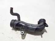 Schlauch für Luftversorgung Renault Trafic III Kasten (FG) 165752889R