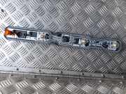 Lampenfassung RENAULT MASTER III Furgon (FV) 2.3 dCi 100 FWD (FV0A, FV0B, FV0G, FV0K) 17109800