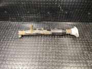 Stoßdämpfer links hinten Audi A6 Avant (4F, C6) 4F0616031F