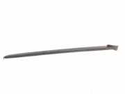 Zierleiste Windschutzscheibe Frontscheibe PEUGEOT 2008 II 1.5 BlueHDI 110 9810112080