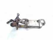 AGR-Kühler RENAULT MEGANE IV (B9A/M_) 1.5 dCi 110 (B9A3) 147357324R