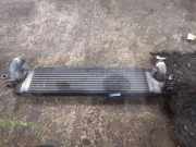 Ladeluftkühler NISSAN X-TRAIL (T31) 2.0 dCi 14461JG70B