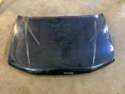 Motorhaube NISSAN PATHFINDER III (R51) 2.5 dCi 4WD