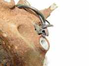 Radnaben vorne links MERCEDES-BENZ SLK (R171) 200 Kompressor (171.445)