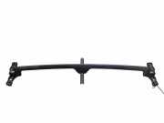 Gitter vorne unten JAGUAR S-TYPE (X200) 2.7 D