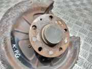 Radnabe hinten VW Golf V Variant (1KM)