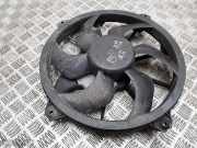 Elektrolüfter Citroen C5 III Break (RW) P9685880280