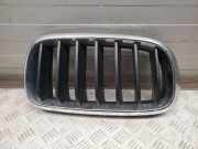 Vorderer oberer Gitter BMW X5 (F15, F85) xDrive 35 i 7316076 7316054