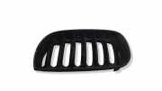 Vorderer oberer Gitter BMW X3 (E83) 3.0 i xDrive