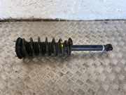 Stoßdämpfer hinten links TOYOTA MIRAI (JPD1_) FCV (JPD10_) 48530-62020