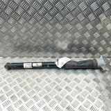 Stoßdämpfer hinten rechts MERCEDES-BENZ GLB (X247) GLB 220 d 4-matic (247.615) A2473200131