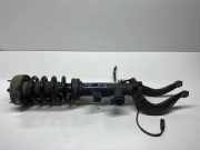 Stoßdämpfer vorne links BMW X5 (F15, F85) xDrive 30 d 6875083